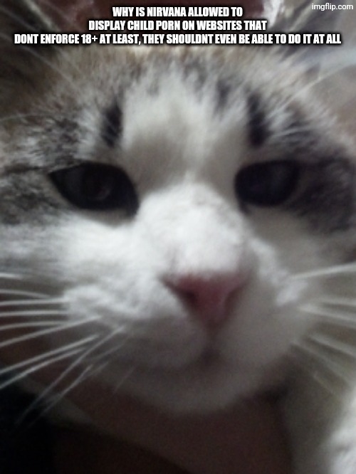 Sour Hart announcement template | WHY IS NIRVANA ALLOWED TO DISPLAY CHILD PORN ON WEBSITES THAT DONT ENFORCE 18+ AT LEAST, THEY SHOULDNT EVEN BE ABLE TO DO IT AT ALL | image tagged in sour hart announcement template | made w/ Imgflip meme maker