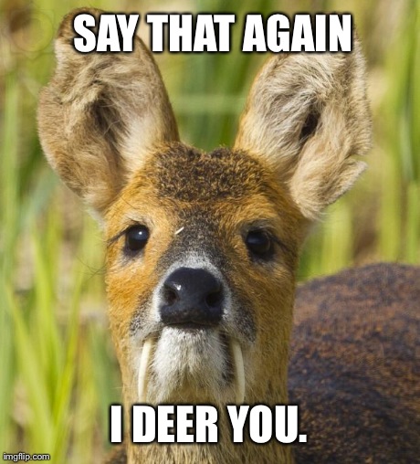 I deer you. | SAY THAT AGAIN I DEER YOU. | image tagged in i deer you | made w/ Imgflip meme maker