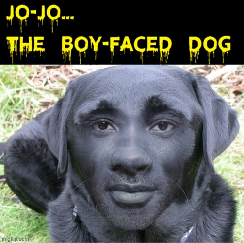 Here, Boy! | image tagged in vince vance,dogs,boy,faced,memes,cursed image | made w/ Imgflip meme maker