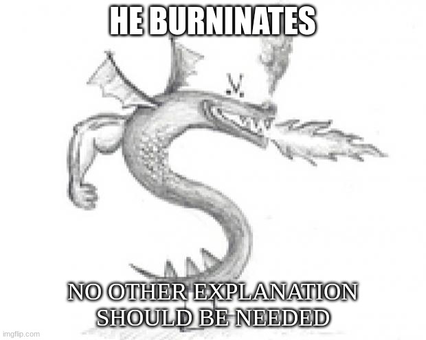 no other explanation | HE BURNINATES; NO OTHER EXPLANATION SHOULD BE NEEDED | image tagged in trogdor burninator | made w/ Imgflip meme maker