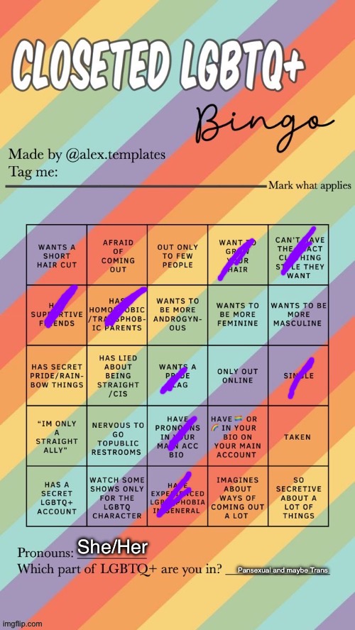 Trying to she how I feel about fem pronouns | She/Her; Pansexual and maybe Trans | image tagged in closeted lgbtq bingo | made w/ Imgflip meme maker