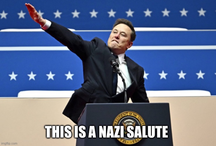 Nazi Elon | THIS IS A NAZI SALUTE | image tagged in nazi elon | made w/ Imgflip meme maker