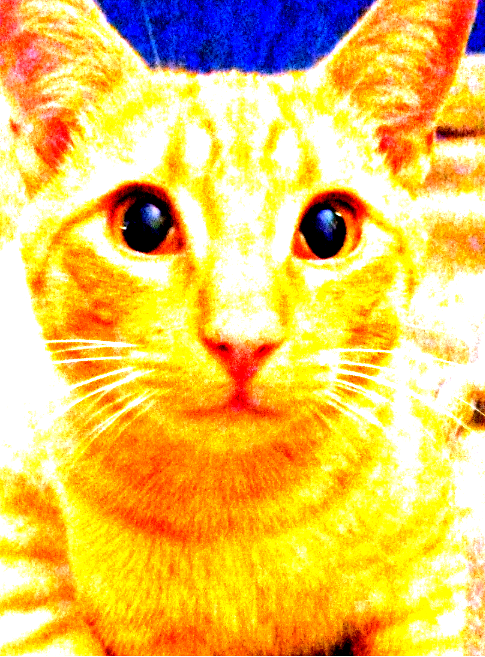 High Quality Glow-Barry Says Blank Meme Template