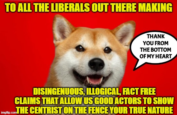DogePadre Says | TO ALL THE LIBERALS OUT THERE MAKING DISINGENUOUS, ILLOGICAL, FACT FREE CLAIMS THAT ALLOW US GOOD ACTORS TO SHOW THE CENTRIST ON THE FENCE Y | image tagged in dogepadre says | made w/ Imgflip meme maker