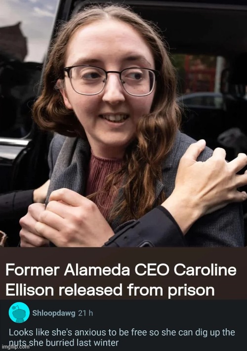 image tagged in caroline ellison,squirrel,anxious,free,nuts,winter | made w/ Imgflip meme maker