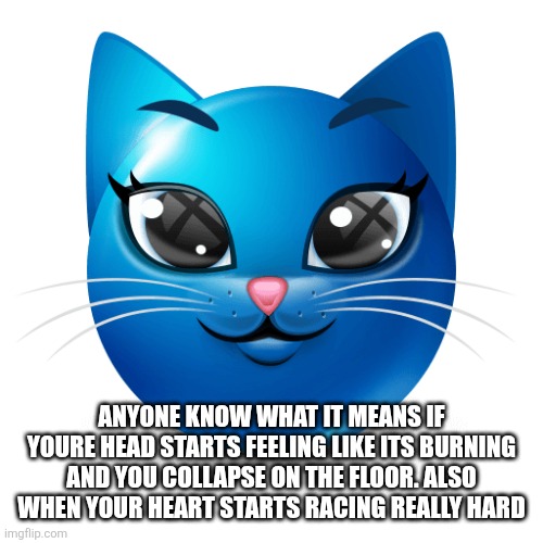 Ts happened to me this morning but my mom still made me go to school | ANYONE KNOW WHAT IT MEANS IF YOURE HEAD STARTS FEELING LIKE ITS BURNING AND YOU COLLAPSE ON THE FLOOR. ALSO WHEN YOUR HEART STARTS RACING REALLY HARD | image tagged in blue cat emoji | made w/ Imgflip meme maker