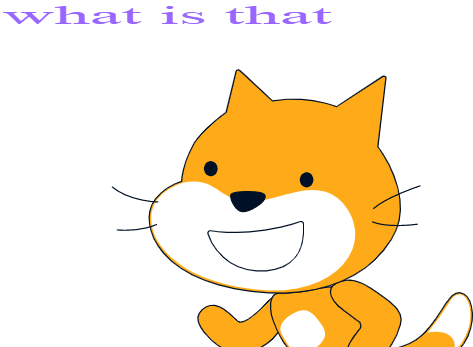 what is that Blank Meme Template