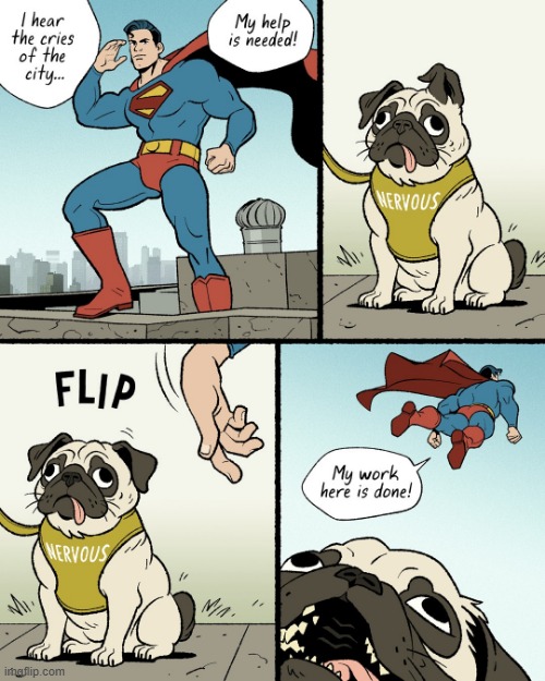 image tagged in superman,dog,pug,ear,flip,hero | made w/ Imgflip meme maker
