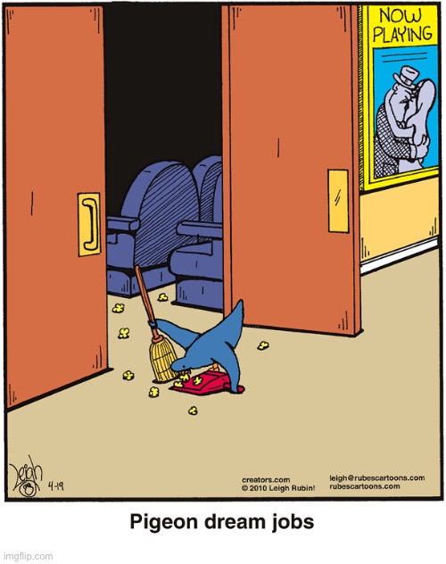 Rubes | image tagged in comics,rubes,movie theater,pigeon,dream job,clean up | made w/ Imgflip meme maker