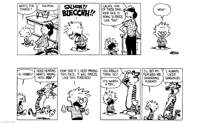 image tagged in calvin and hobbes,comics | made w/ Imgflip meme maker