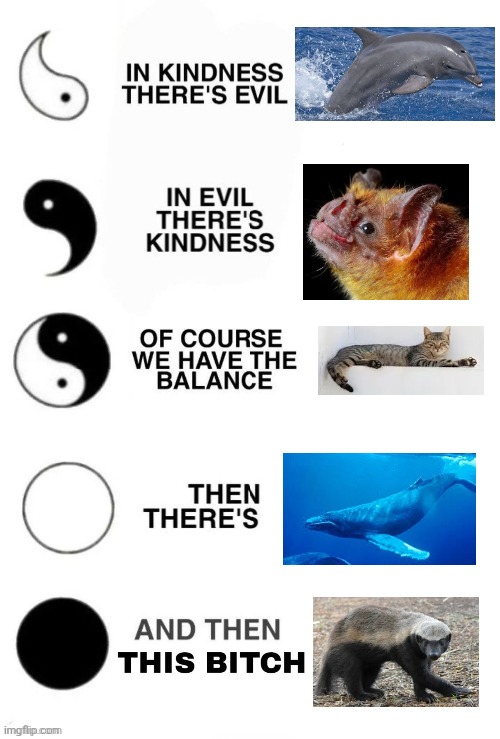 In Kindness There's Evil | image tagged in in kindness there's evil | made w/ Imgflip meme maker