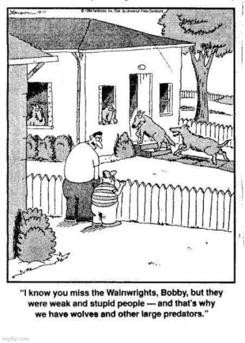 The wolves ate The Wainwrights… | image tagged in the far side,comics,neighbors,wolves | made w/ Imgflip meme maker