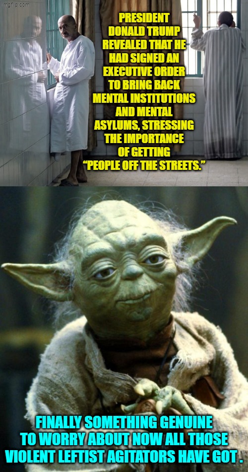 LOL . . . run violent leftist agitators . . . run! | PRESIDENT DONALD TRUMP REVEALED THAT HE HAD SIGNED AN EXECUTIVE ORDER TO BRING BACK MENTAL INSTITUTIONS AND MENTAL ASYLUMS, STRESSING THE IMPORTANCE OF GETTING “PEOPLE OFF THE STREETS.”; FINALLY SOMETHING GENUINE TO WORRY ABOUT NOW ALL THOSE VIOLENT LEFTIST AGITATORS HAVE GOT . | image tagged in star wars yoda | made w/ Imgflip meme maker