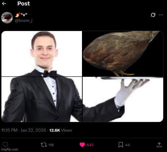 image tagged in shitpost,birb | made w/ Imgflip meme maker