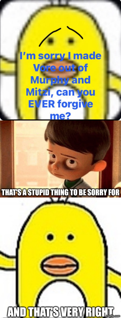 Me Ruining A Fill In Meme #468 | THAT'S A STUPID THING TO BE SORRY FOR; AND THAT'S VERY RIGHT | image tagged in ruin this fill in meme 468 | made w/ Imgflip meme maker