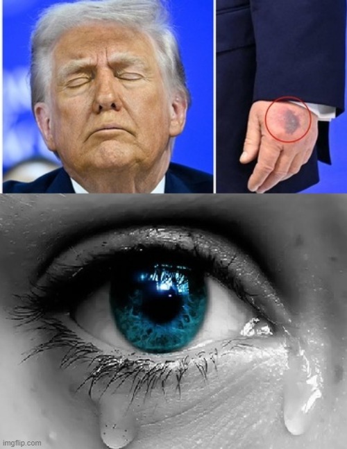 Last thing i post on here... my life is full of issues and now this story that Donald Trump could be sick makes me more sad | made w/ Imgflip meme maker