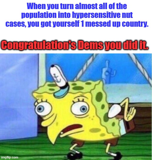 Everyone has a cause to go nuts over & they get free snivels. A country  full of whiny kid's / adults. | When you turn almost all of the population into hypersensitive nut cases, you got yourself 1 messed up country. Congratulation's Dems you did it. | image tagged in memes,mocking spongebob | made w/ Imgflip meme maker