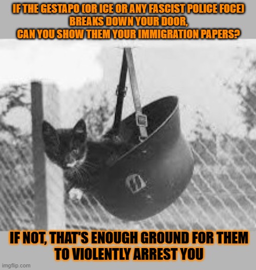 This #lolcat wonders what reason a fascist police force needs to violently arrest people | IF THE GESTAPO (OR ICE OR ANY FASCIST POLICE FOCE)
BREAKS DOWN YOUR DOOR,
CAN YOU SHOW THEM YOUR IMMIGRATION PAPERS? IF NOT, THAT'S ENOUGH GROUND FOR THEM
TO VIOLENTLY ARREST YOU | image tagged in fascism,gestapo,ice,police brutality,lolcat | made w/ Imgflip meme maker
