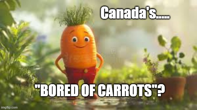 Bored of Carrots | Canada's..... "BORED OF CARROTS"? | image tagged in pun,dumb as trump | made w/ Imgflip meme maker