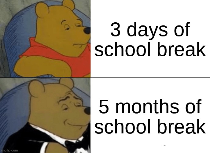 3 days of school break vs 5 months of break | 3 days of school break; 5 months of school break | image tagged in memes,tuxedo winnie the pooh,funny,funny memes,relatable,relatable memes | made w/ Imgflip meme maker