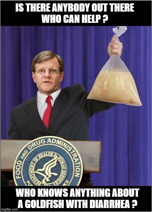 This Is An Emergency ! | IS THERE ANYBODY OUT THERE
WHO CAN HELP ? WHO KNOWS ANYTHING ABOUT A GOLDFISH WITH DIARRHEA ? | made w/ Imgflip meme maker
