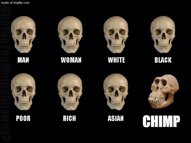 empty skulls of truth | WhatDoYouMemeAnyway? CHIMP | image tagged in empty skulls of truth | made w/ Imgflip meme maker