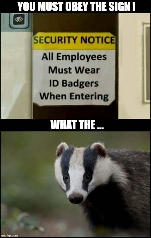 Something's Not Right ... | YOU MUST OBEY THE SIGN ! WHAT THE ... | image tagged in stupid signs,badger | made w/ Imgflip meme maker