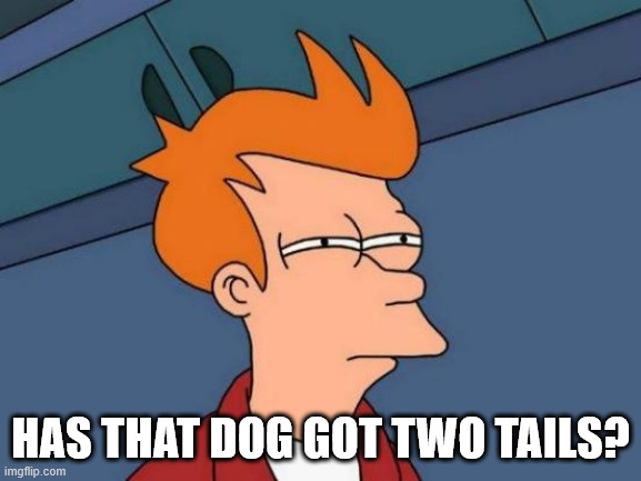 Futurama Fry Meme | HAS THAT DOG GOT TWO TAILS? | image tagged in memes,futurama fry | made w/ Imgflip meme maker