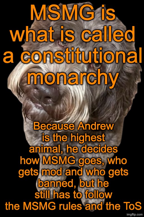 Don't confuse it with an absolute monarchy, where the leader doesn't have to obey the law | MSMG is what is called a constitutional monarchy; Because Andrew is the highest animal, he decides how MSMG goes, who gets mod and who gets banned, but he still has to follow the MSMG rules and the ToS | image tagged in northers dog transparent | made w/ Imgflip meme maker