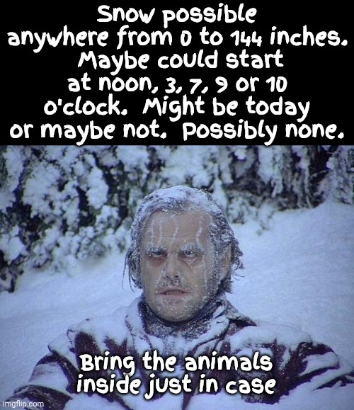 Winter Storm Watch * Armageddon Reports | Snow possible anywhere from 0 to 144 inches.  Maybe could start at noon, 3, 7, 9 or 10 o'clock.  Might be today or maybe not.  Possibly none. Bring the animals inside just in case | image tagged in memes,jack nicholson the shining snow,winter storm,armageddon weather reports,winter is coming,snow day | made w/ Imgflip meme maker