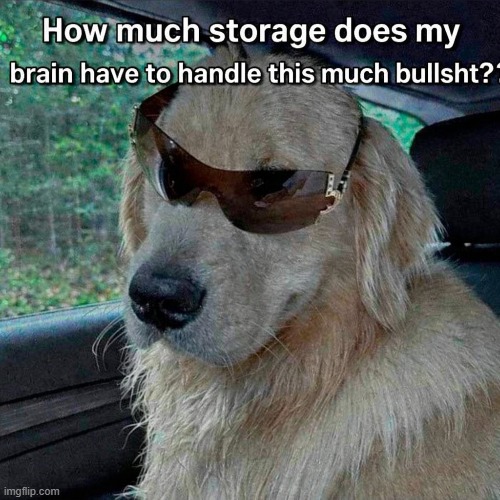 Storage Limit Reached | image tagged in fun | made w/ Imgflip meme maker