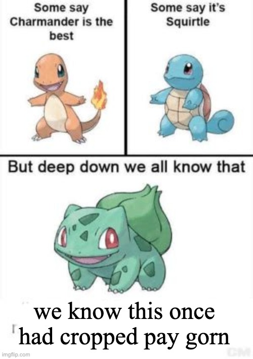 Deep down we all know that | we know this once had cropped pay gorn | image tagged in deep down we all know that | made w/ Imgflip meme maker