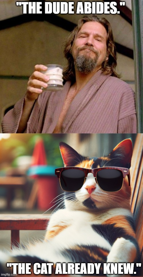 "THE DUDE ABIDES."; "THE CAT ALREADY KNEW." | image tagged in big lebowski,cat with sunglasses chilling | made w/ Imgflip meme maker