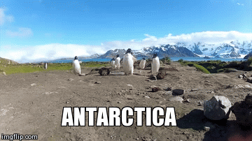 ANTARCTICA | image tagged in gifs | made w/ Imgflip video-to-gif maker
