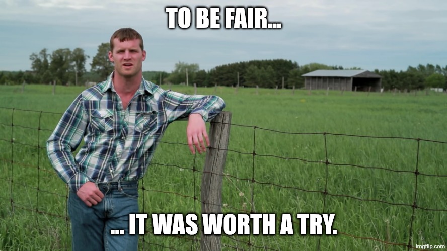 TO BE FAIR... ... IT WAS WORTH A TRY. | image tagged in letterkenny problems | made w/ Imgflip meme maker