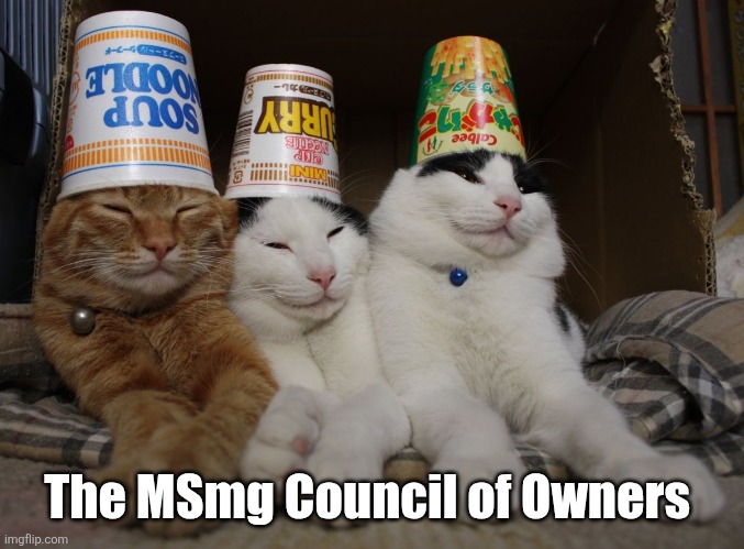 Council of Cats | The MSmg Council of Owners | image tagged in council of cats | made w/ Imgflip meme maker