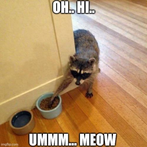 Oh Hi | OH.. HI.. UMMM... MEOW | image tagged in chrisjoines1 | made w/ Imgflip meme maker
