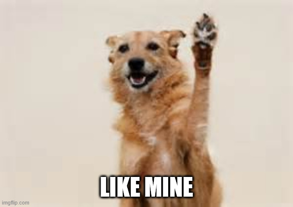 Dog paw | LIKE MINE | image tagged in dog paw | made w/ Imgflip meme maker