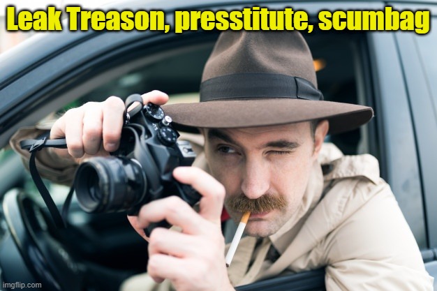 Leak Treason "How may I embellish your story?" | Leak Treason, presstitute, scumbag | image tagged in fake news,maga,journalism | made w/ Imgflip meme maker