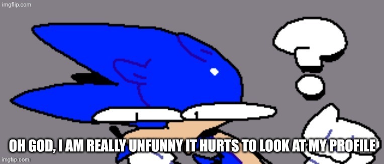 huh? | OH GOD, I AM REALLY UNFUNNY IT HURTS TO LOOK AT MY PROFILE | image tagged in huh | made w/ Imgflip meme maker