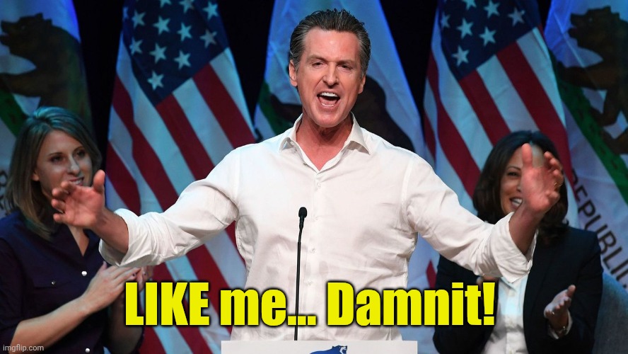 Gavin Newsom | LIKE me... Damnit! | image tagged in gavin newsom | made w/ Imgflip meme maker