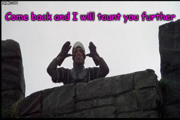 French Taunting in Monty Python's Holy Grail | Come back and I will taunt you further | image tagged in french taunting in monty python's holy grail | made w/ Imgflip meme maker