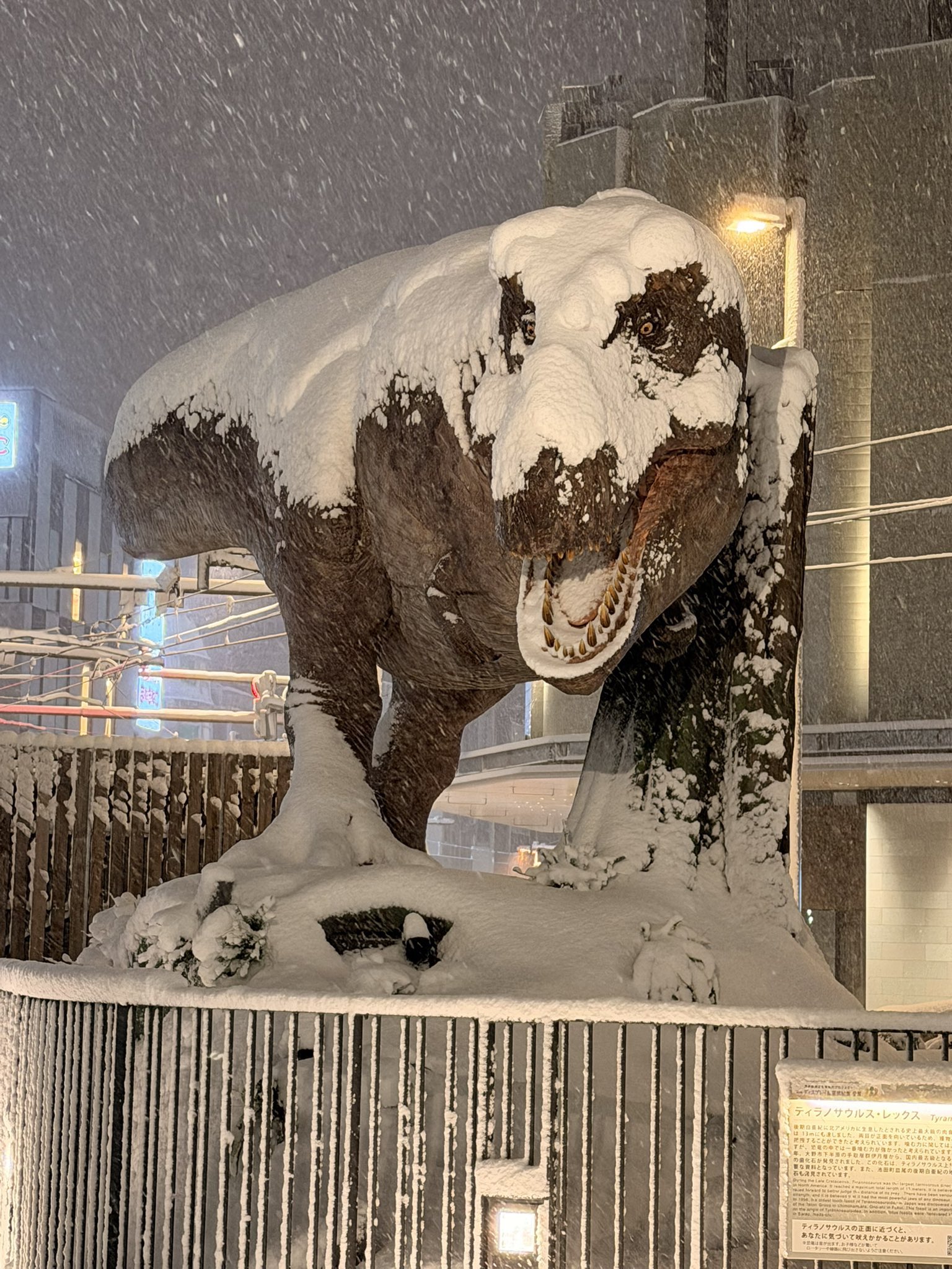 COLD Blank Meme Template