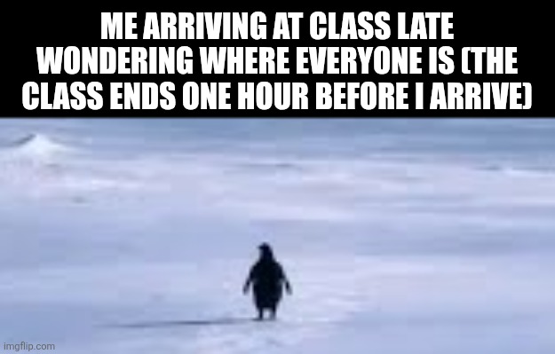 ME ARRIVING AT CLASS LATE WONDERING WHERE EVERYONE IS (THE CLASS ENDS ONE HOUR BEFORE I ARRIVE) | image tagged in memes,school,relate | made w/ Imgflip meme maker