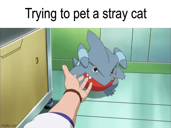 The intense difficulty | Trying to pet a stray cat | image tagged in memes,funny,relatable,pokemon,cats | made w/ Imgflip meme maker