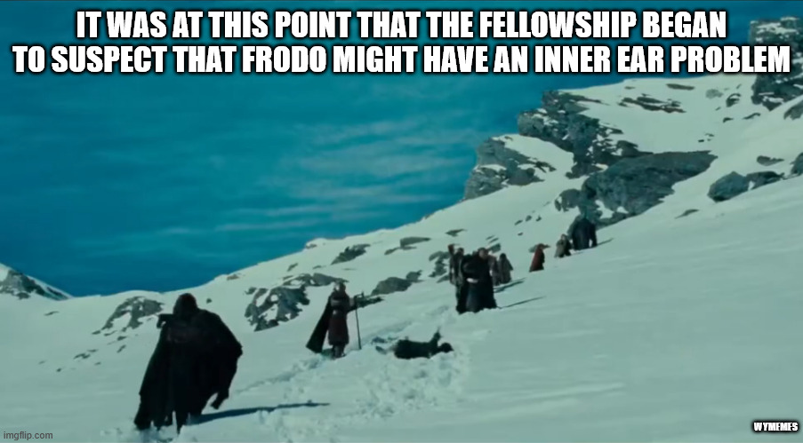 The Fellowship begins to suspect | IT WAS AT THIS POINT THAT THE FELLOWSHIP BEGAN TO SUSPECT THAT FRODO MIGHT HAVE AN INNER EAR PROBLEM; WYMEMES | image tagged in frodo,memes,lotr,frodo falling,lotr meme,falling meme | made w/ Imgflip meme maker