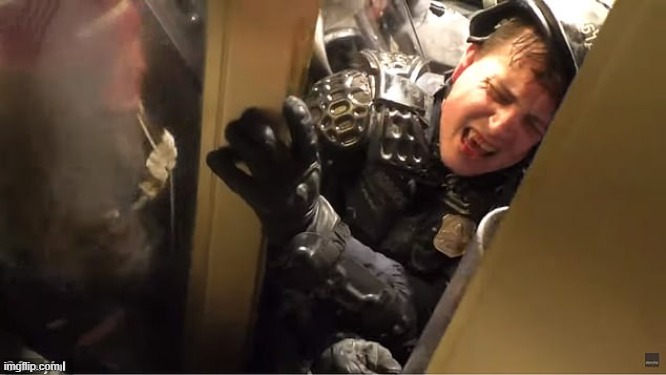 January 6th, Capitol police crushed by tourists | image tagged in january 6th capitol police crushed by tourists | made w/ Imgflip meme maker