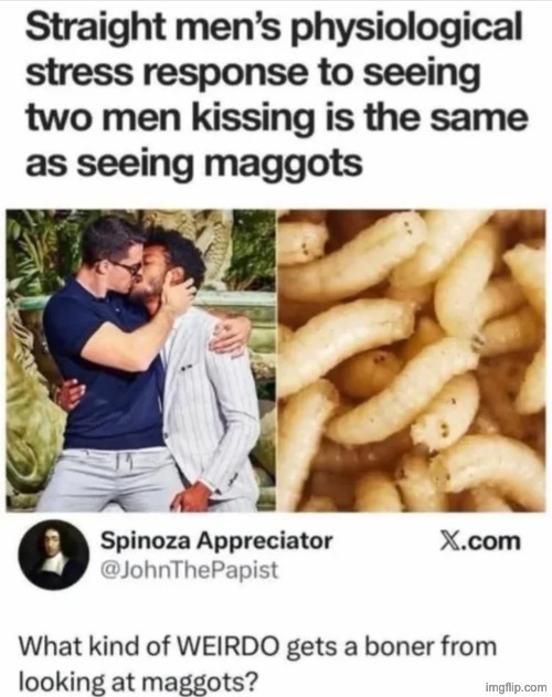 Maggots, people. With an M. | made w/ Imgflip meme maker