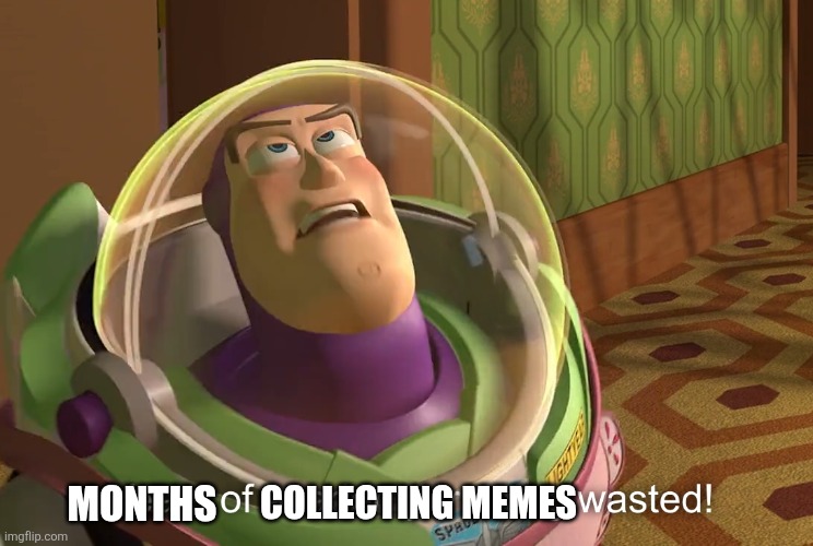 MONTHS COLLECTING MEMES | image tagged in years of academy training wasted | made w/ Imgflip meme maker