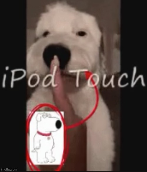 ipod touch | image tagged in ipod touch | made w/ Imgflip meme maker